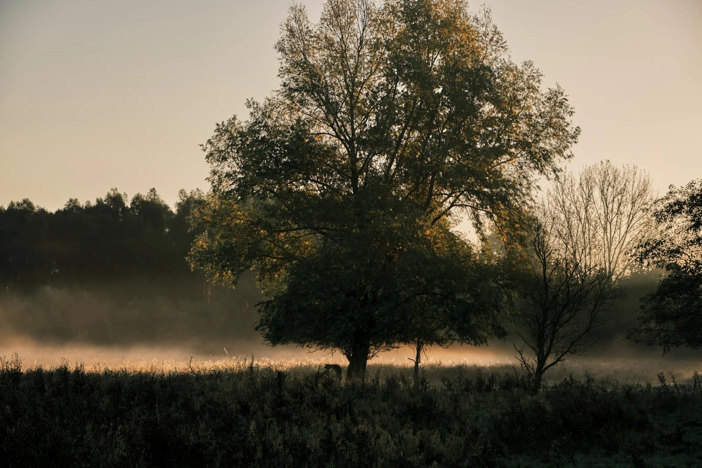 Photograph 12 by Stan van der Vleuten