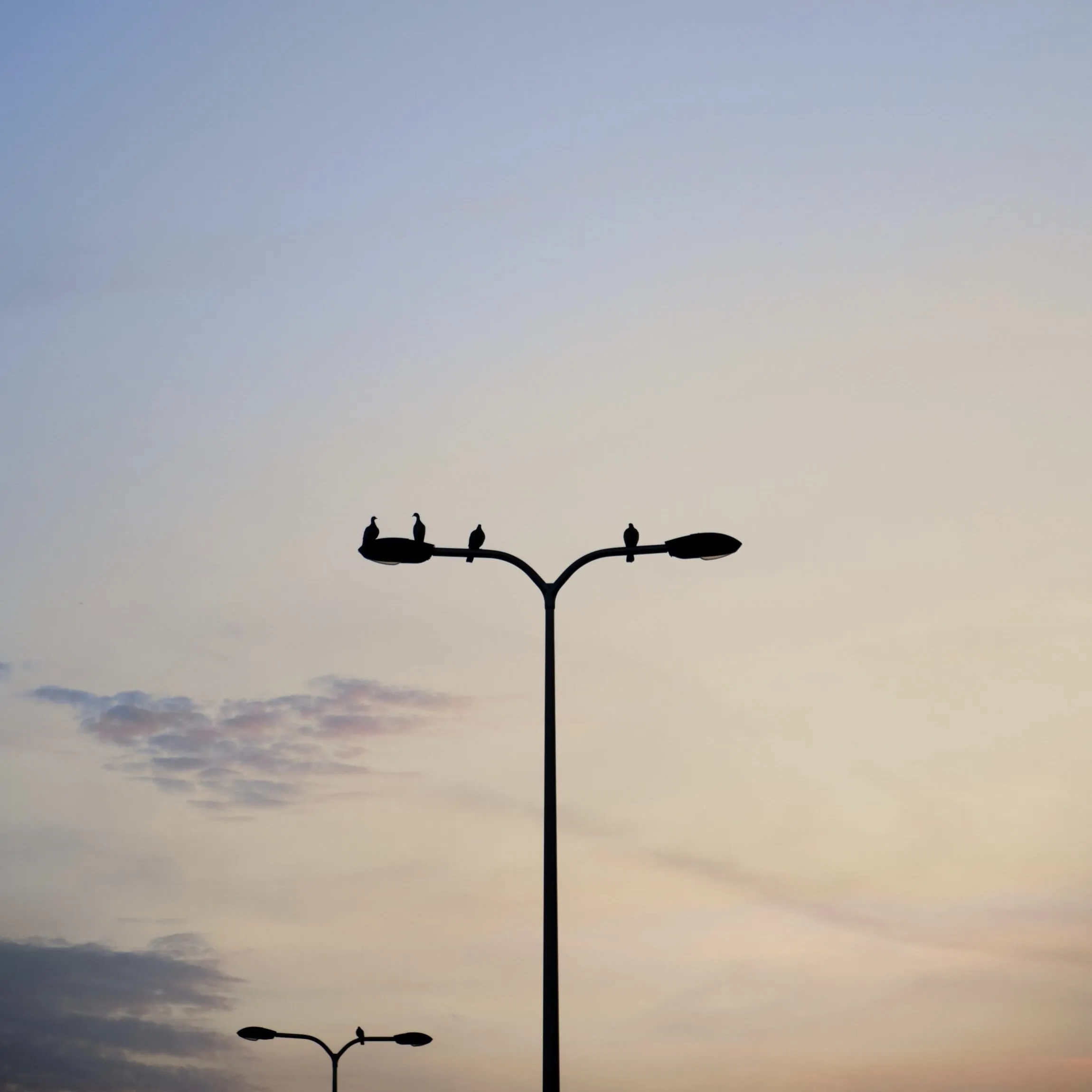 Photograph 17 by Stan van der Vleuten