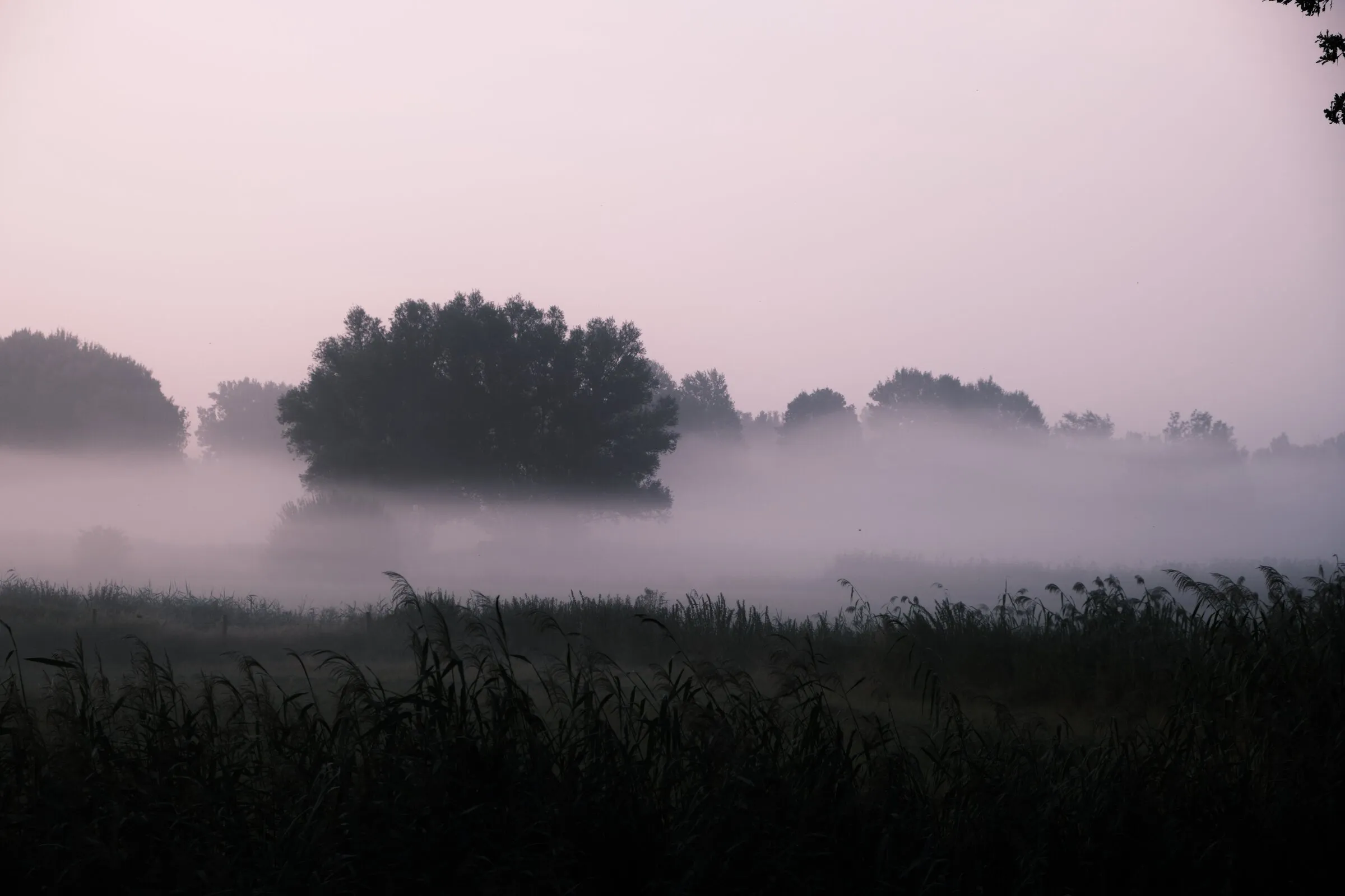 Photograph 18 by Stan van der Vleuten