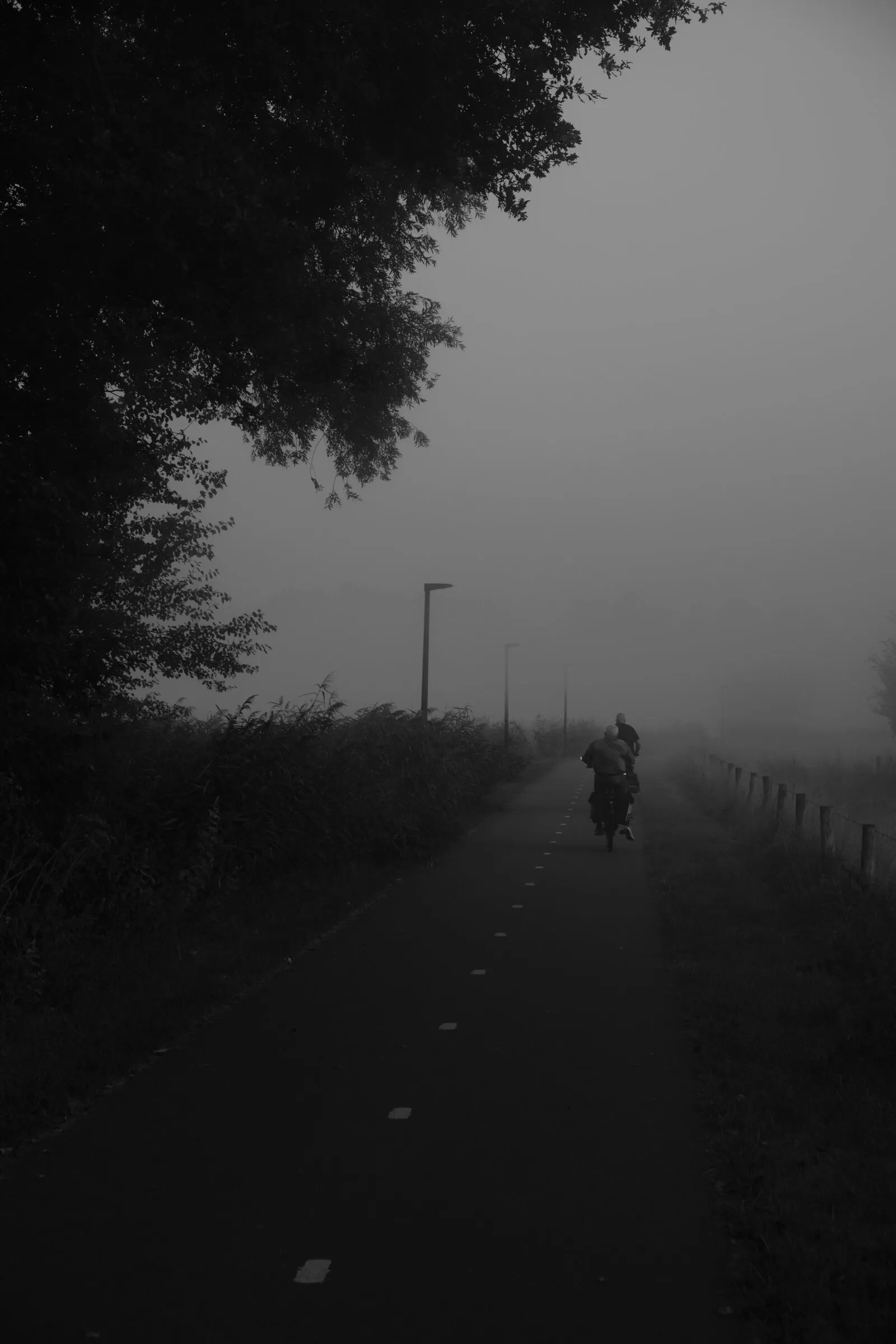 Photograph 02 by Stan van der Vleuten