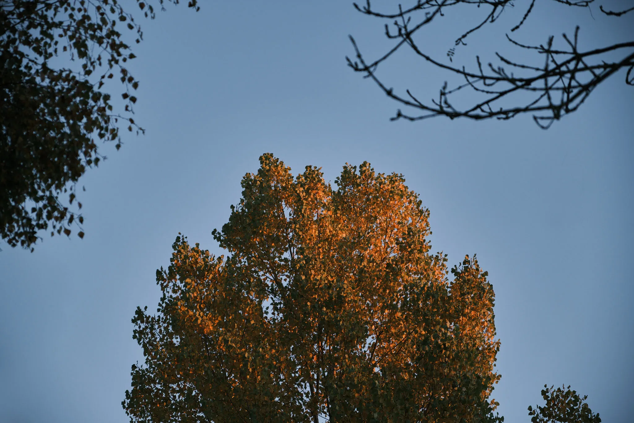 Photograph 10 by Stan van der Vleuten