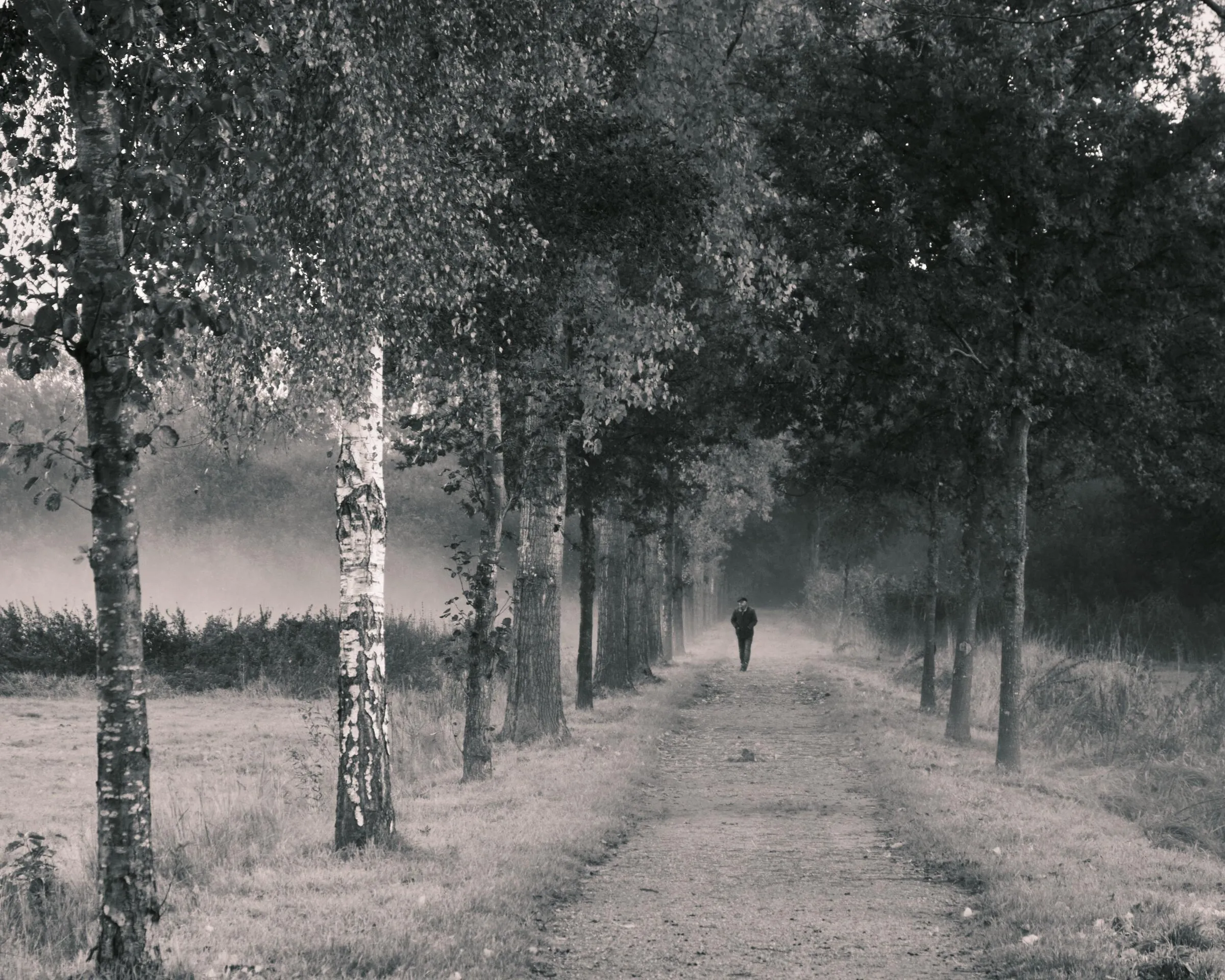 Photograph 08 by Stan van der Vleuten